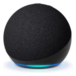 echo dot alexa